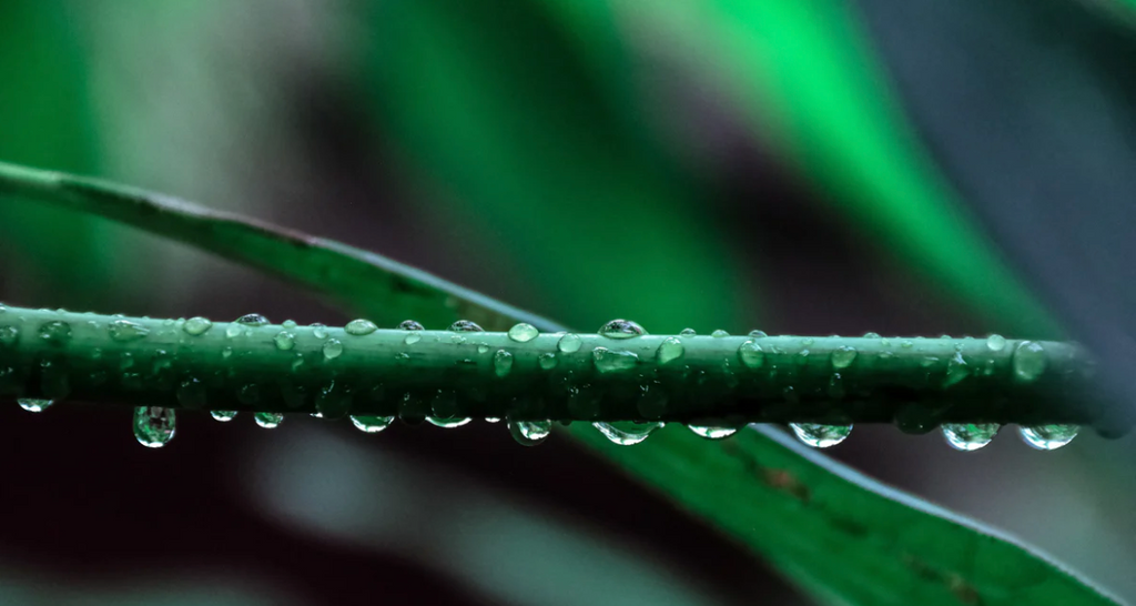 Waterproof, resistant or repellent?