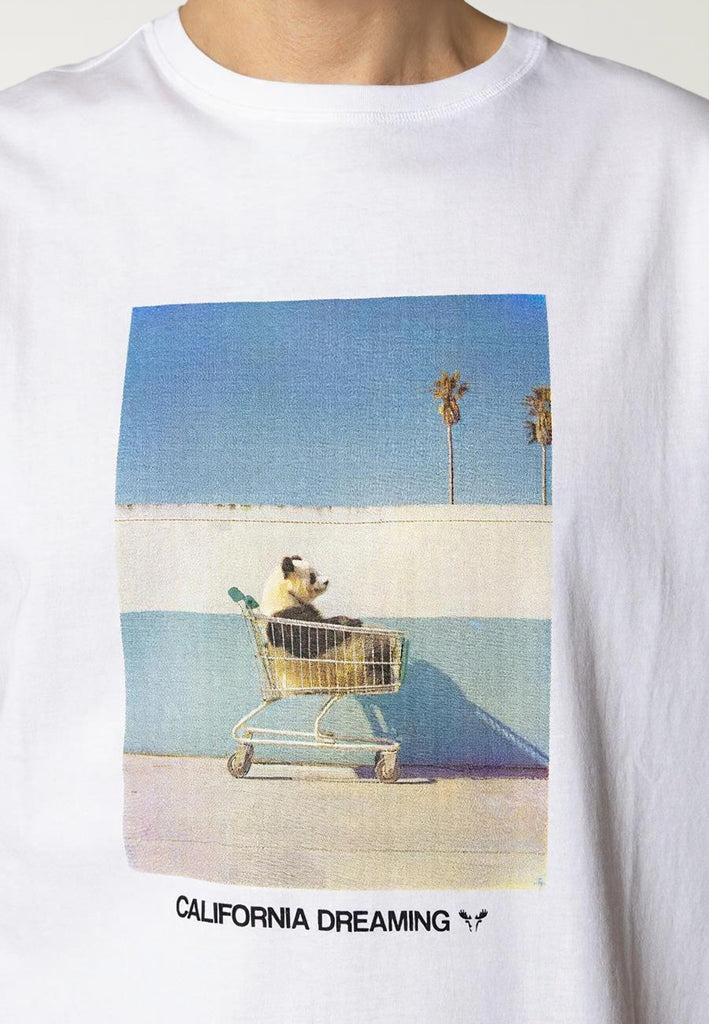 Fat Moose CALI DREAMING T-SHIRT T-shirts S/S White
